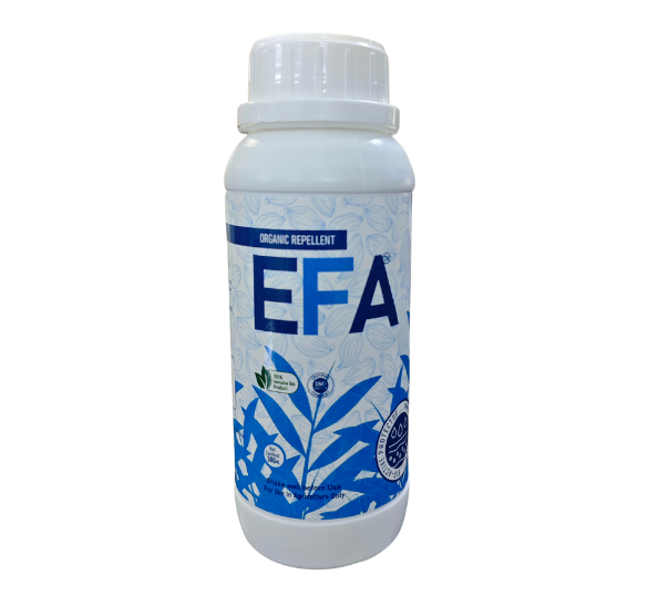 EFA