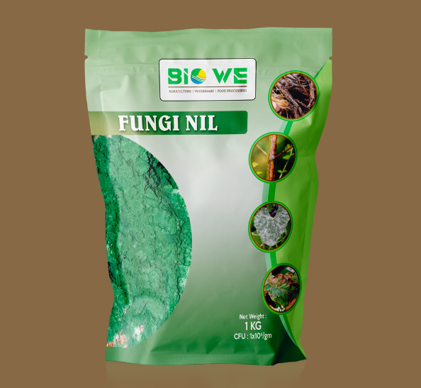 FUNGI NIL