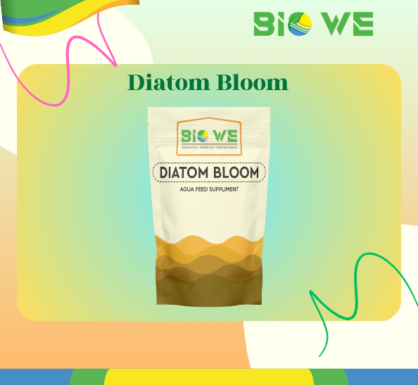 Diatom Bloom