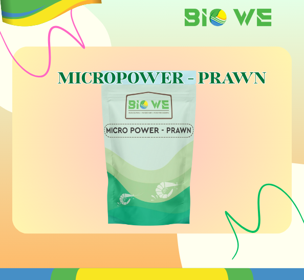 MICROPOWER PRAWN